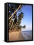 Mui Ne Beach, South-Central Coast, Vietnam-Gavin Hellier-Framed Stretched Canvas