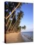 Mui Ne Beach, South-Central Coast, Vietnam-Gavin Hellier-Stretched Canvas