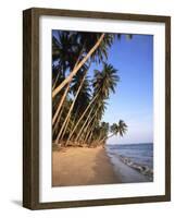 Mui Ne Beach, South-Central Coast, Vietnam-Gavin Hellier-Framed Photographic Print