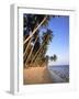 Mui Ne Beach, South-Central Coast, Vietnam-Gavin Hellier-Framed Photographic Print