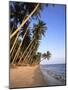 Mui Ne Beach, South-Central Coast, Vietnam-Gavin Hellier-Mounted Photographic Print