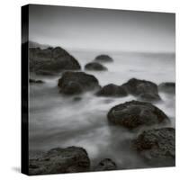 Muir Beach-Jamie Cook-Stretched Canvas