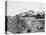 Muir Glacier, Alaska, USA, 1893-John L Stoddard-Stretched Canvas