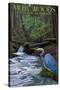 Muir Woods National Monument, California - Blue Heron-Lantern Press-Stretched Canvas