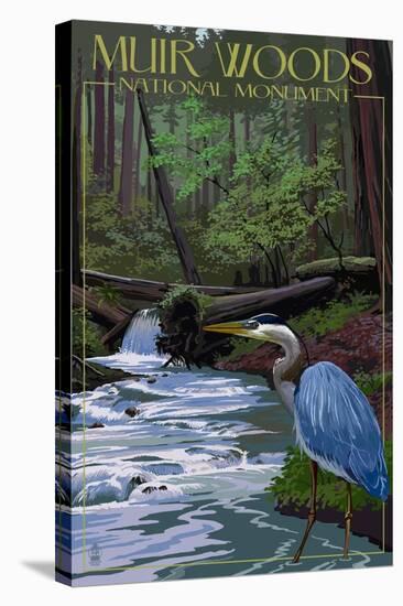 Muir Woods National Monument, California - Blue Heron-Lantern Press-Stretched Canvas