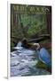 Muir Woods National Monument, California - Blue Heron-Lantern Press-Framed Art Print