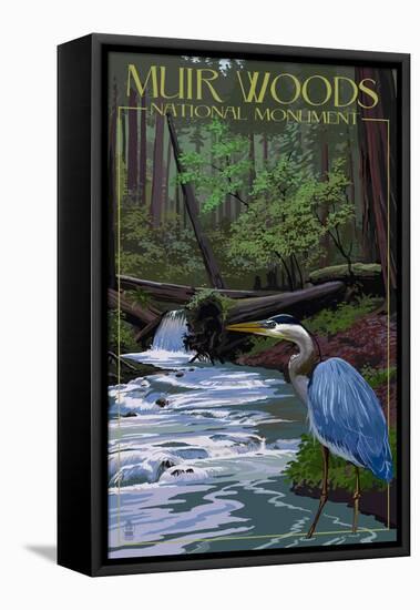 Muir Woods National Monument, California - Blue Heron-Lantern Press-Framed Stretched Canvas