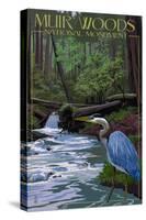 Muir Woods National Monument, California - Blue Heron-Lantern Press-Stretched Canvas