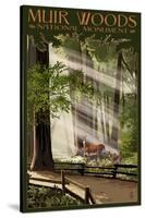 Muir Woods National Monument, California - Deer and Fawns-Lantern Press-Stretched Canvas