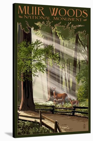 Muir Woods National Monument, California - Deer and Fawns-Lantern Press-Stretched Canvas