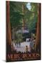 Muir Woods National Monument, California - Entrance-Lantern Press-Mounted Art Print