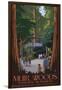 Muir Woods National Monument, California - Entrance-Lantern Press-Framed Art Print