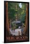 Muir Woods National Monument, California - Entrance-Lantern Press-Framed Art Print