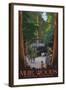 Muir Woods National Monument, California - Entrance-Lantern Press-Framed Art Print