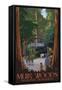 Muir Woods National Monument, California - Entrance-Lantern Press-Framed Stretched Canvas