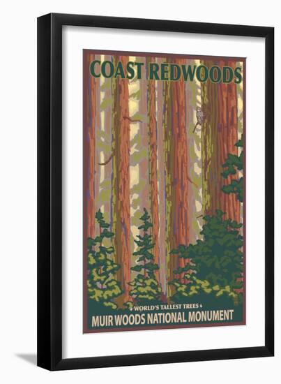 Muir Woods National Monument, California - Forest View-Lantern Press-Framed Art Print