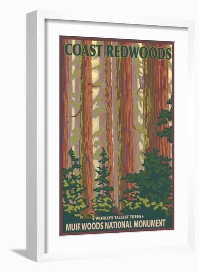 Muir Woods National Monument, California - Forest View-Lantern Press-Framed Art Print