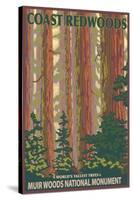 Muir Woods National Monument, California - Forest View-Lantern Press-Stretched Canvas