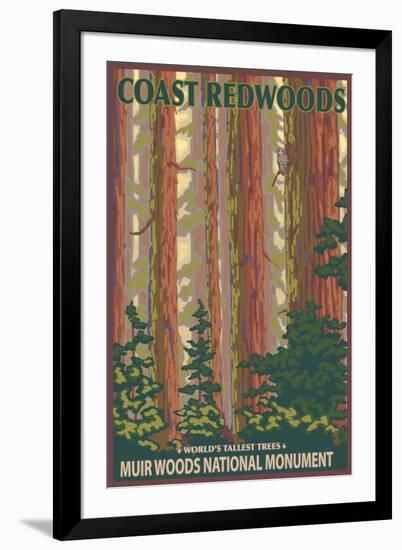 Muir Woods National Monument, California - Forest View-Lantern Press-Framed Art Print