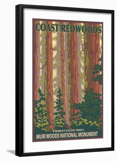 Muir Woods National Monument, California - Forest View-Lantern Press-Framed Art Print