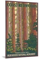 Muir Woods National Monument, California - Forest View-Lantern Press-Mounted Art Print