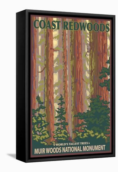 Muir Woods National Monument, California - Forest View-Lantern Press-Framed Stretched Canvas