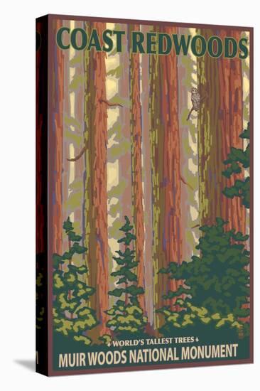 Muir Woods National Monument, California - Forest View-Lantern Press-Stretched Canvas