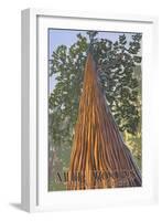 Muir Woods National Monument, California - Looking Up Tree-Lantern Press-Framed Art Print