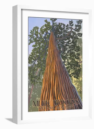 Muir Woods National Monument, California - Looking Up Tree-Lantern Press-Framed Art Print