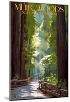 Muir Woods National Monument, California - Pathway-null-Mounted Poster