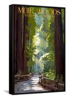 Muir Woods National Monument, California - Pathway-Lantern Press-Framed Stretched Canvas