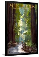 Muir Woods National Monument, California - Pathway-Lantern Press-Framed Art Print