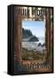 Muir Woods National Monument, California - Trees and Ocean-Lantern Press-Framed Stretched Canvas