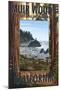 Muir Woods National Monument, California - Trees and Ocean-Lantern Press-Mounted Art Print