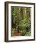 Muir Woods National Monument, Redwood Forest, California, Usa-Gerry Reynolds-Framed Photographic Print