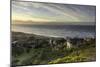 Muizenberg Beach, Cape Town, Western Cape, South Africa, Africa-Ian Trower-Mounted Photographic Print