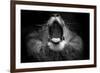 Mujambi-SD Smart-Framed Photographic Print