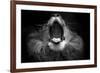 Mujambi-SD Smart-Framed Photographic Print