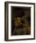 Mujo-Fabio Panichi-Framed Photographic Print