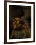 Mujo-Fabio Panichi-Framed Photographic Print