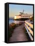 Mukilteo to Bainbridge Washington State Ferry during Sunset.-Iriana Shiyan-Framed Stretched Canvas