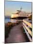 Mukilteo to Bainbridge Washington State Ferry during Sunset.-Iriana Shiyan-Mounted Photographic Print