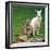 Mulali, Right, a Two-Year-Old Albino Grey Kangeroo Stands Next to Her Joey-null-Framed Premium Photographic Print