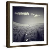 Mulane-Luis Beltran-Framed Photographic Print