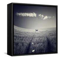 Mulane-Luis Beltran-Framed Stretched Canvas