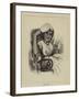 Mulatto Girl-null-Framed Giclee Print