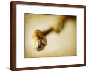 Mulberry 2-Jessica Rogers-Framed Giclee Print