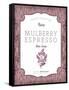 Mulberry Soap-Ashley Sta Teresa-Framed Stretched Canvas