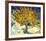 Mulberry Tree, c.1889-Vincent van Gogh-Framed Art Print