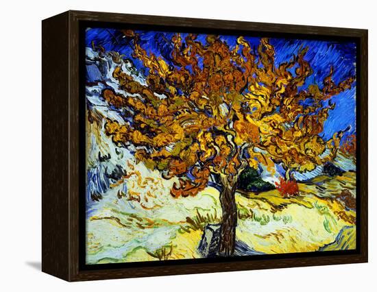 Mulberry Tree, c.1889-Vincent van Gogh-Framed Stretched Canvas